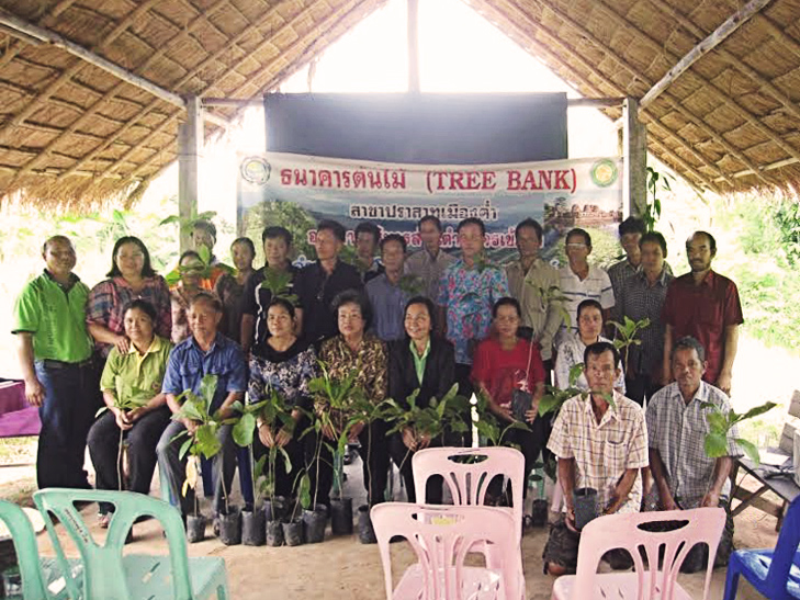 ธนาคารต้นไม้สาขาปราสาทเมืองต่ำ